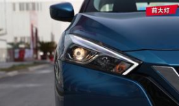 蓝鸟视频,探索视觉盛宴的无限魅力