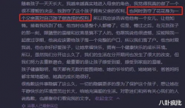 娱乐圈吃瓜Excel,揭秘明星幕后故事与八卦风云
